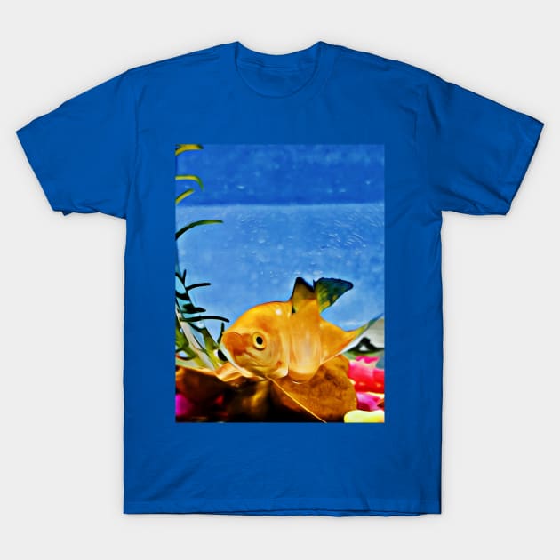 Yellow Fish T-Shirt by Looly Elzayat